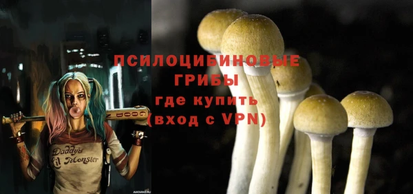 соль курить ск Богданович