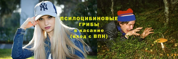 хмурый Богородск