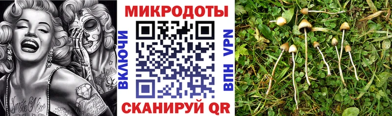 Галлюциногенные грибы мицелий  Купить  Мурино 